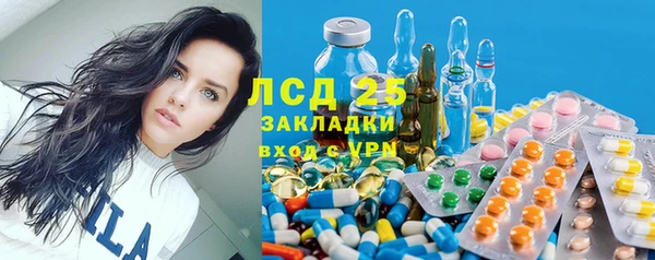 винт Аркадак