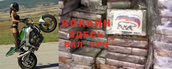 винт Аркадак
